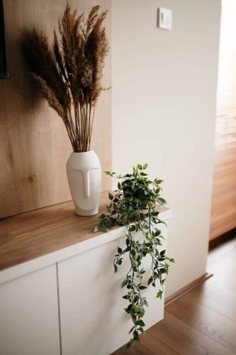 FB_IMG_1648216843852