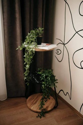 FB_IMG_1648216849672