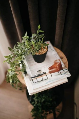 FB_IMG_1648216875735