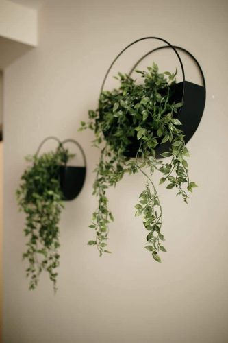 FB_IMG_1648219762550