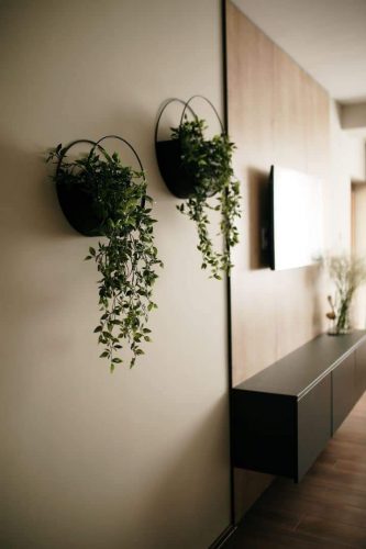 FB_IMG_1648219800074