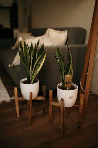 FB_IMG_1648220956664