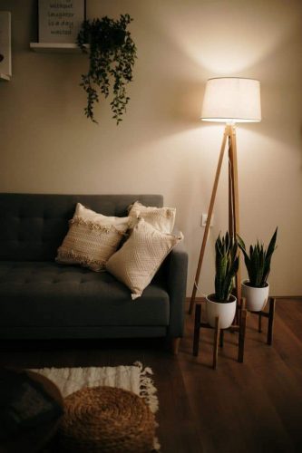 FB_IMG_1648221003275