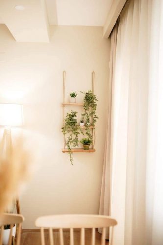 FB_IMG_1648221023988